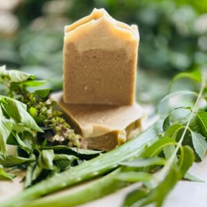 Aloe Neem & Basil soap
